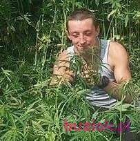 Daniel, Male, 33, Holandia, Photo: 1