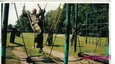grzegorz, Mężczyzna, 44, Ostrów Wielkopolski, Polska, Zdjęcie: 3