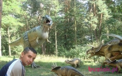 Marcin, Male, 44, Radziejów, Polska, Photo: 2
