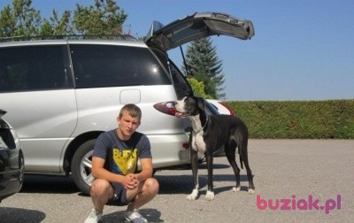 Adrian, Male, 32, Kwidzyn, Polska: 1