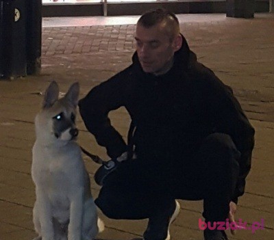 Marcinekh.., Male, 47, Wielka Brytania, Photo: 2