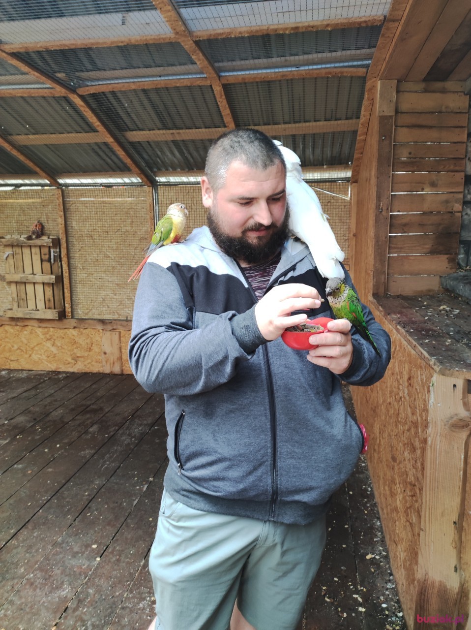 Jan, Male, 35, Cieszyn, Polska, Photo: 9