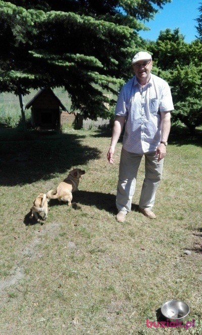 Krzysztof, Mężczyzna, 71, Łódź, Polska, Zdjęcie: 3