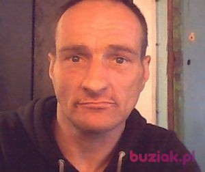 Darek, Mężczyzna, 51, Zielona Góra, Polska: 1