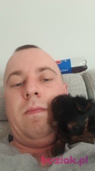 Grzegorz, Mężczyzna, 34, Gliwice, Polska, Zdjęcie: 6