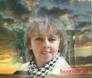 Urszula, Kobieta, 62, Holandia, Zdjęcie: 1