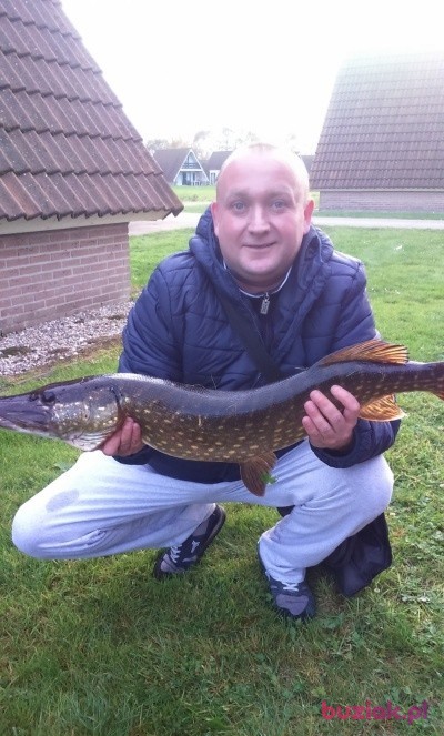 pawel, Male, 45, Holandia, Photo: 1