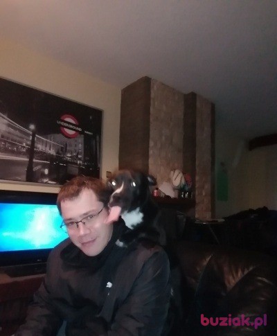 Dawid, Mężczyzna, 35, Arcen Limburg Province, Holandia, Zdjęcie: 2