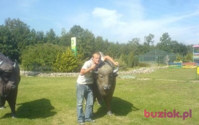 Mariusz, Mężczyzna, 36, Gogolin, Polska, Zdjęcie: 1