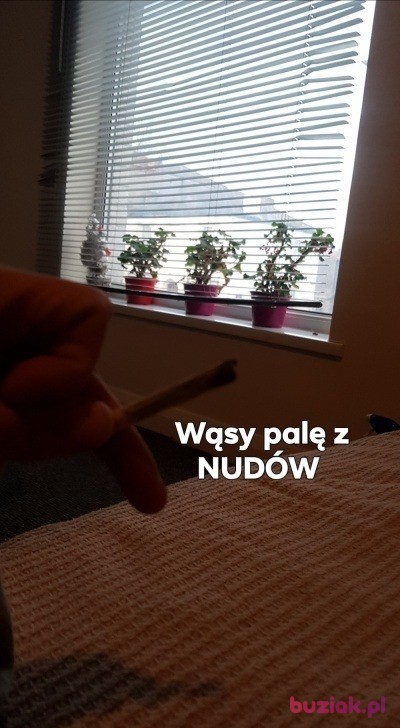 Kacper, Male, 39, Wielka Brytania, Photo: 6