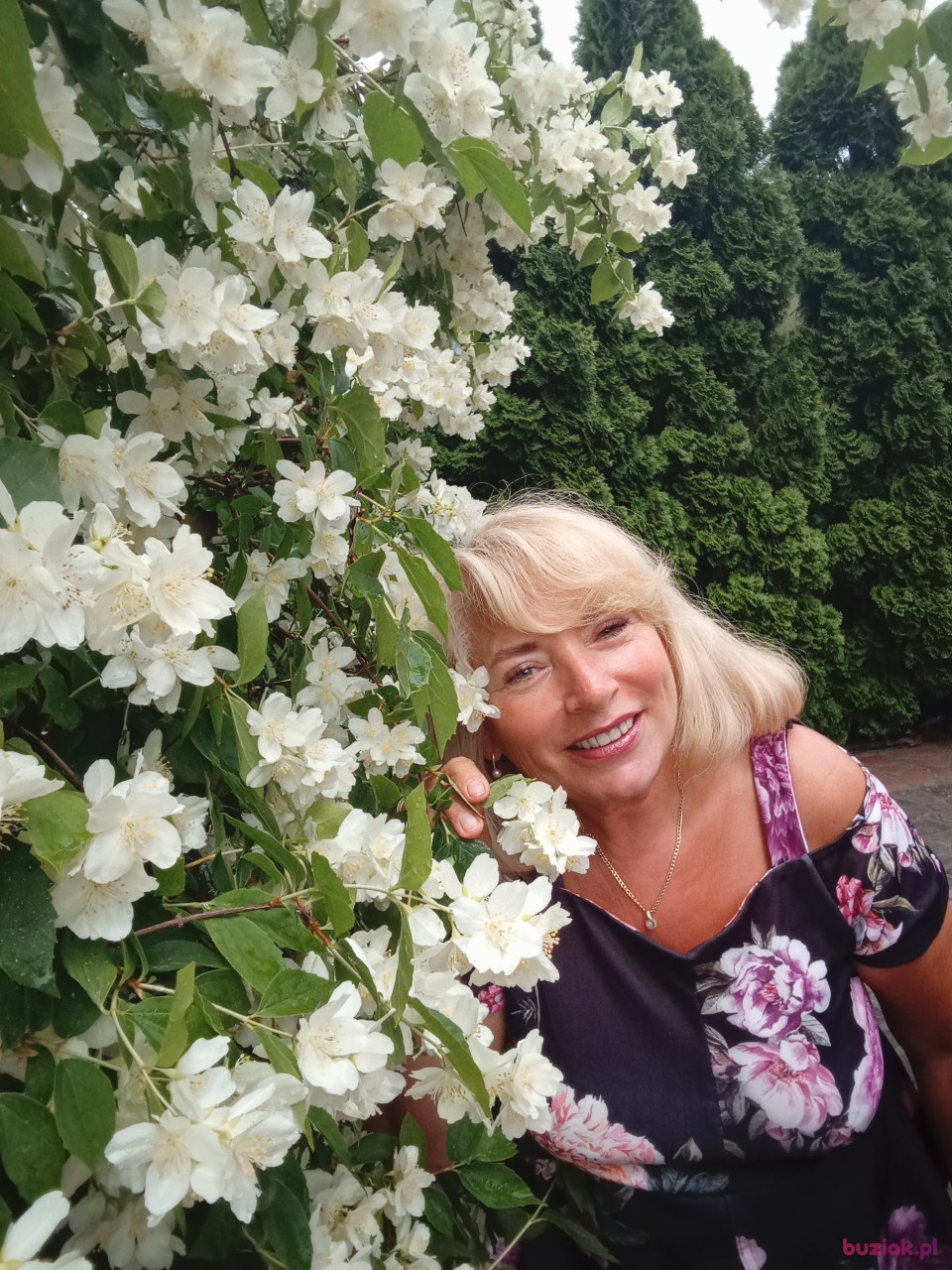 renata, Female, 63, Pionki, Polska, Photo: 2