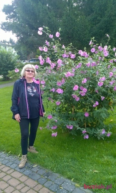 Jolanta, Kobieta, 69, Pabianice, Polska, Zdjęcie: 5