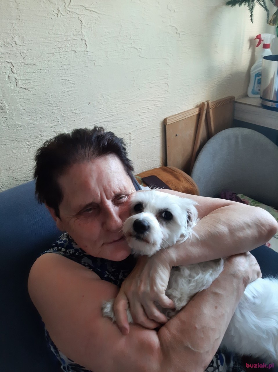 Wanda, Female, 71, Słupca, Polska: 1