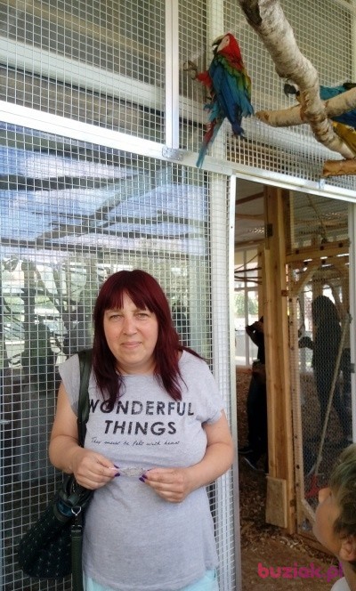 Monika, Kobieta, 52, Gdynia, Polska: 1