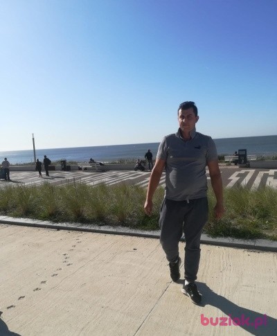Alan, Male, 35, Eindhoven, Holandia, Photo: 2
