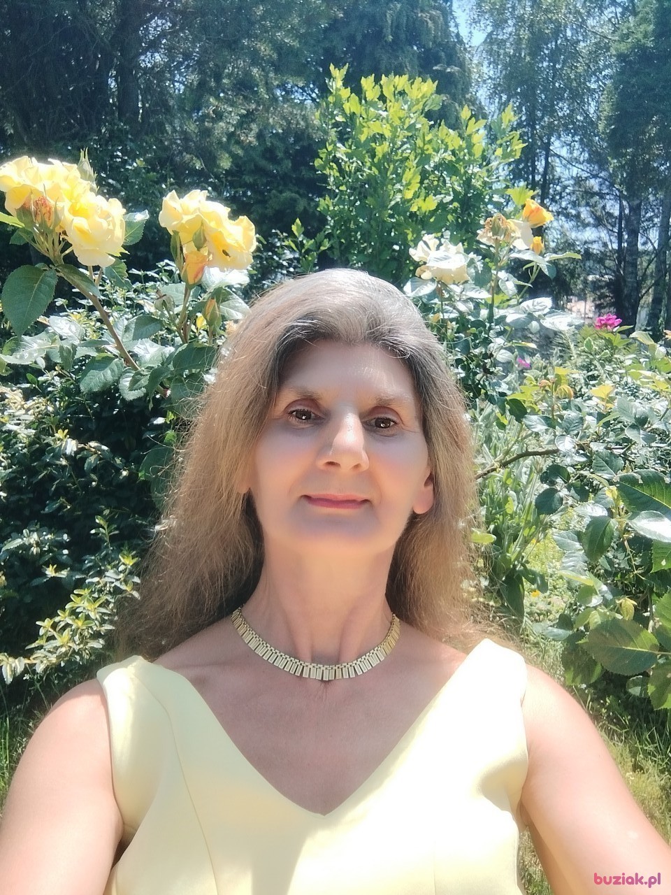 Alicja, Kobieta, 59, Nowy Sącz, Polska, Zdjęcie: 1
