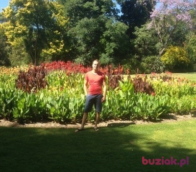 Krzysiek, Male, 35, Australia, Photo: 3