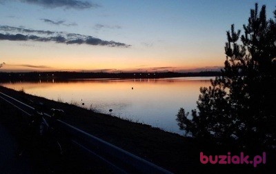 roman, Mężczyzna, 62, Świętochłowice, Polska, Zdjęcie: 5