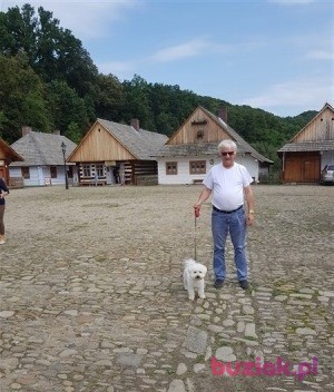 Jędrek, Mężczyzna, 66, Wejherowo, Polska, Zdjęcie: 3
