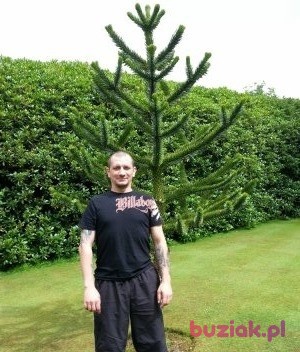 Sebastian, Mężczyzna, 46, Glasgow, Wielka Brytania, Zdjęcie: 1