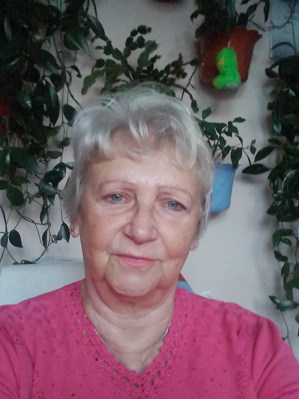 krystyna, Female, 73, Dzierżoniów, Polska, Photo: 1