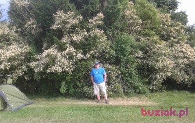 Tom, Mężczyzna, 53, Birmingham West Midlands England, Wielka Brytania: 1