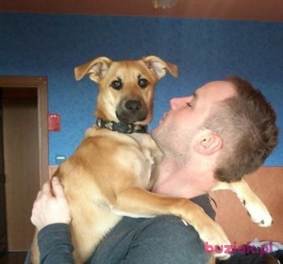 Dominik, Male, 36, Zabrze, Polska, Photo: 3