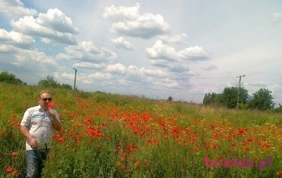 Romuald , Male, 72, Kraków, Polska, Photo: 2