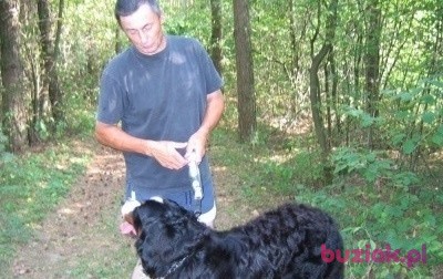 Herbert, Mężczyzna, 62, Neuburg an der Donau Upper Bavaria Bavaria, Niemcy, Zdjęcie: 1