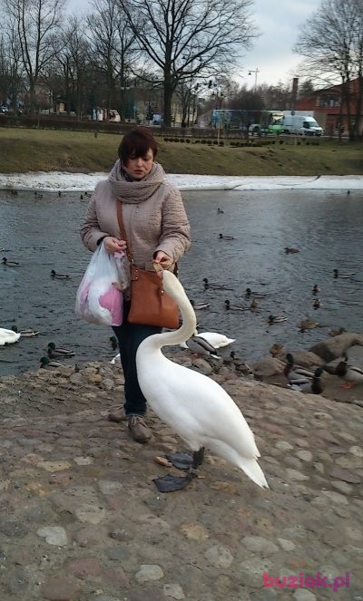 ania46, Female, 57, Ełk, Polska, Photo: 2