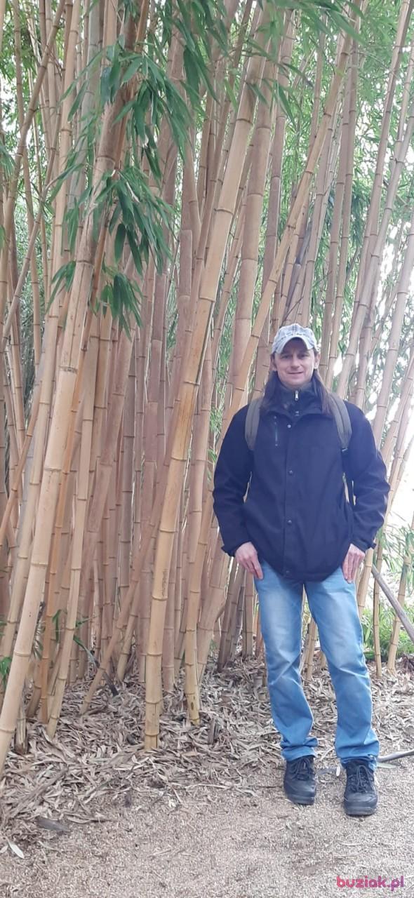 lukasz, Male, 46, Bergheim, Niemcy, Photo: 3