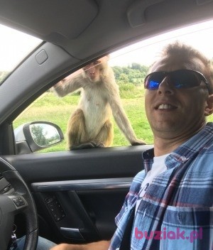Piotr, Male, 47, Wielka Brytania, Photo: 2