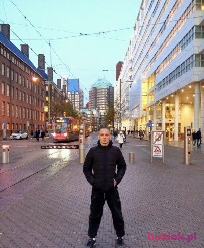 Stanisław , Male, 35, Lisse South Holland Province, Holandia, Photo: 1