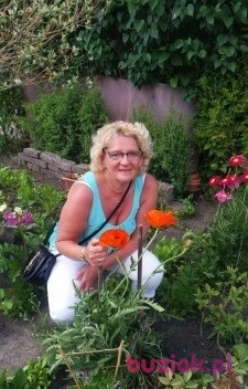 Malgorzata, Female, 66, Głogów, Polska: 1