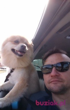 jaco82, Mężczyzna, 43, Haarlem North Holland Province, Holandia, Zdjęcie: 3