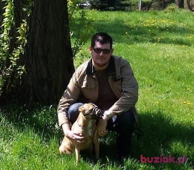 Karol, Male, 31, Sosnowiec, Polska, Photo: 3