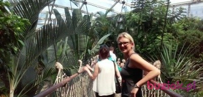 katee31, Female, 40, Piotrków Trybunalski, Polska, Photo: 2
