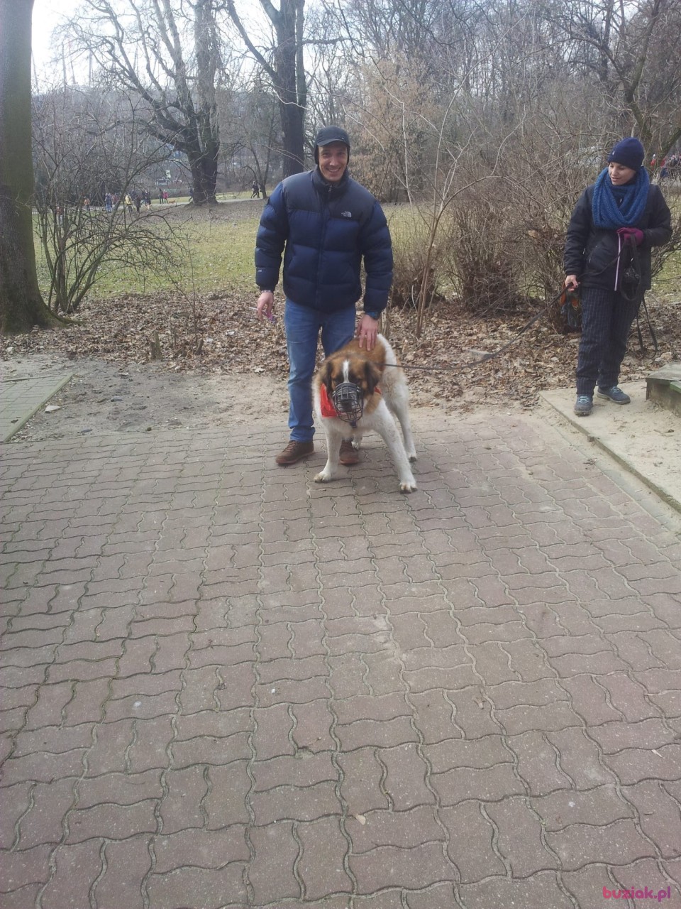 Marjan, Male, 45, Zoetermeer, Holandia, Photo: 6