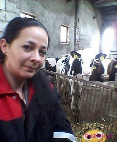 Dorota, Kobieta, 40, Poznań, Polska, Zdjęcie: 1