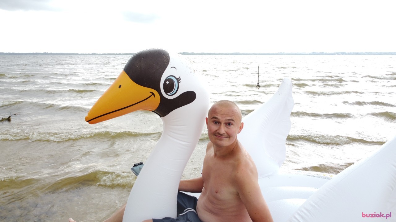 Michał, Mężczyzna, 36, Zgierz, Polska, Zdjęcie: 534