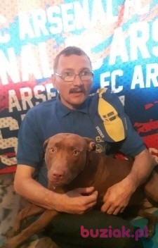 Zbigniew, Mężczyzna, 52, Toruń, Polska, Zdjęcie: 1