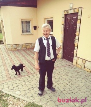 Augustynjanowiak, Male, 69, Nowy Targ, Polska, Photo: 3