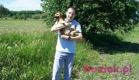 Sylwek, Mężczyzna, 42, Grodków, Polska, Zdjęcie: 3