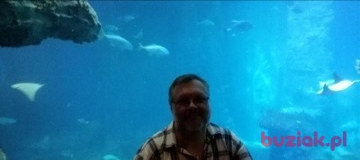 mikolaj1962, Mężczyzna, 62, Bolesławiec, Polska, Zdjęcie: 2