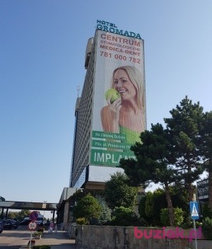 Tello, Mężczyzna, 50, Rotterdam South Holland Province, Holandia, Zdjęcie: 7