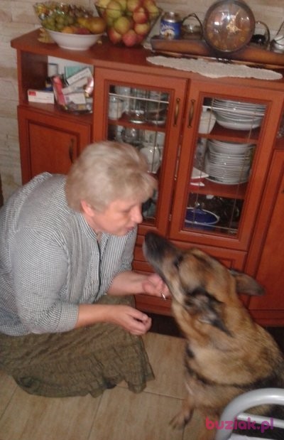 Małgorzata, Kobieta, 65, Mysłowice, Polska, Zdjęcie: 1