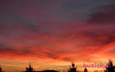 Tadeusz, Male, 66, Myślenice, Polska, Photo: 3