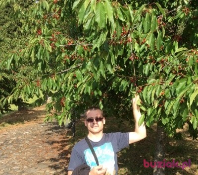 Gniewosz, Mężczyzna, 38, Bartoszyce, Polska, Zdjęcie: 2