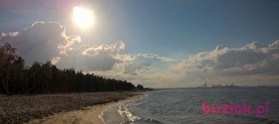 Włodek, Mężczyzna, 53, Warszawa, Polska, Zdjęcie: 3