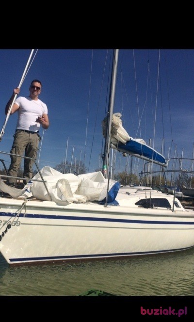 Laci, Male, 50, Polska, Photo: 2